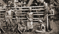 Tabakarbeiter in Deli, nrdliches
                      Sumatra, um 1910