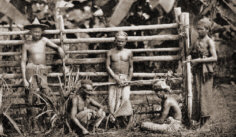 Tobacco workers in Deli,
                  northern Sumatra, about 1910.