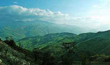 Jungle mountains of
                              Trung Son mountain range in Vietnam