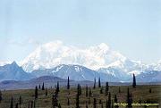 El macizo montaoso del
                                        Mount McKinley (Denali),
                                        panorama, y fueron muchas
                                        mentiras con esa montaa