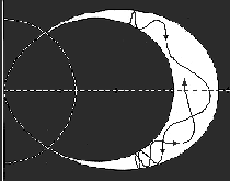 Particle paths in the
                          outer Van Allen radiation belt, detail 1,
                          schema black and white.