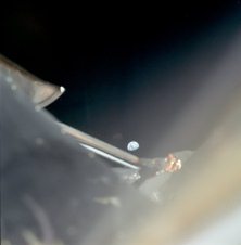 Apollo 11, Foto Nr. AS11-37-5434: Die NASA
                        behauptet, dies sei ein "Blick zurück"
                        vom Mondflug von der "Mondlandefähre"
                        aus in Richtung Erde, aufgenommen von Neil
                        Armstrong.