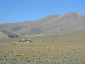 Atacama-Wste 28: Camp an der Laguna Santa
                        Rosa mit Hgelbergen