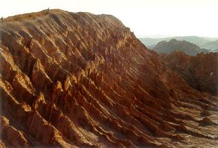 Valle de la Luna 22: Steinkathedrale