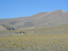Atacama-Wüste 28: Camp an der Laguna Santa
                        Rosa mit Hügelbergen
