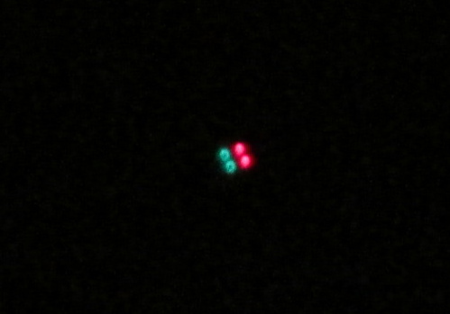 Objeto ovni rojo verde sobre Lima Los Olivos 02,
              se ve dos luces rojas y dos luces verdes - 25-12-2016,
              foto de 0h11min.44seg.