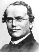 Gregor
                Mendel, portrait of a hereditary scientist without
                racism