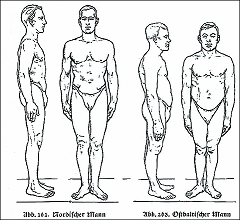 Guenther's presentation of races:
                            Nordic and East Baltic man (1930)