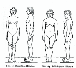 Guenther's presentation of races:
                            Nordic and East Baltic girl (1930)