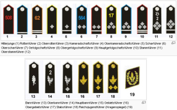 Hitler
                          Youth, 19 badges of rank