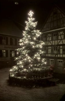 Hackenkreuz auf einem Weihnachtsbaum, Gernsbach bei Stuttgart 1938