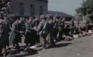 "Americans" executing body
                          searchs with German soldiers