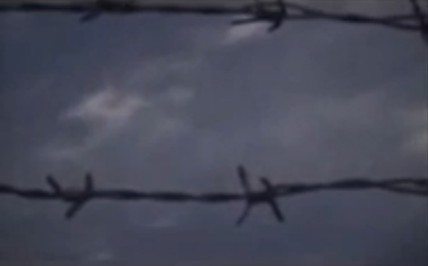 Barbed
                            wire with blue sky 02 (25min.12sec.)