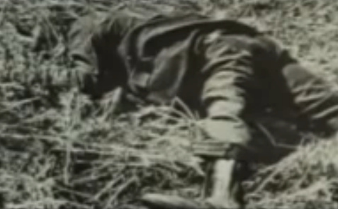 German prisoner of war dead on a
                              meadow in fresh grass eventually after a
                              flight (26min. 5sec.)