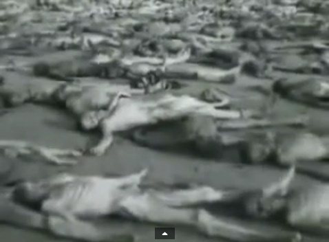 Male
                            emaciated dead bodies without clothes and
                            without spots and without tattooed numbers
                            of detainees (4min. 54sec.)