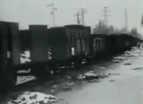 Un tren de
                                        detenidos cerca del cc de
                                        Dachau, febrero 1945 apr.
                                        (36min.20seg.)