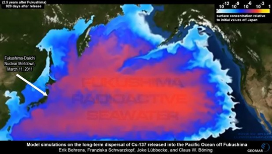 Fukushima verseucht den
                    gesamten Nord-Pazifik