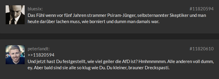 Rufmorde von
                              BND-Psiram: Wer die AfD gut findet, soll
                              ein kleiner brauner irgendwas sein