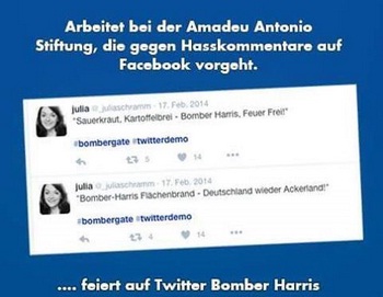 Amadeu-Antonio-Stiftung hetzt mit Harris
                      gegen Deutschland