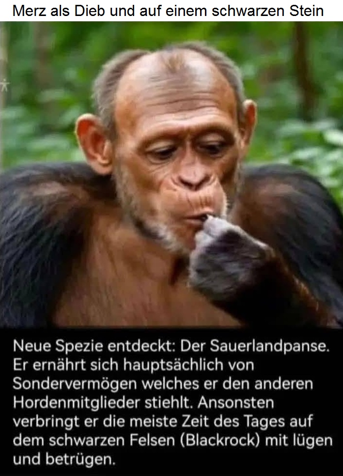Merzchen am 22.5.2025: ist ein Dieb+Lügner
und hockt auf einem schwarzen Stein Merzchen
am 22.5.2025: ist ein Dieb+Lügner und hockt auf
einem schwarzen Stein