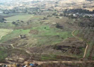 Ashdod: the
                          hill of ruins (tell) is almost invisible by
                          the fields