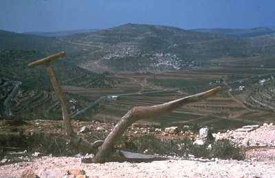 Zona del norte: colinas con
                                llanura de Jezreel (valle de Jezreel)