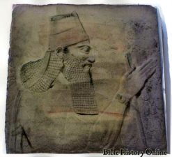 Tiglath-Pileser III., profile, location of
                        finding Nimrud.