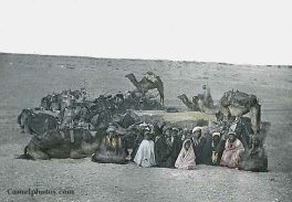 Beduinas haciendo pausa en una
                              agrupacin oval