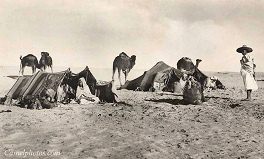 Carpas de beduinas en el ao 1915