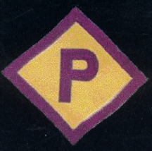 P badges since 8 March 1940 according to
                          the law for working Poles in Germany
                          ("Polenerlass")