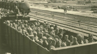 Soviet forced labourers transported in
                          summer in open railway wagon