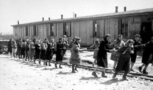 CC Plaszow (near Cracow, Poland), women forced
                  labourers on the rope pulling carts filled with rocks