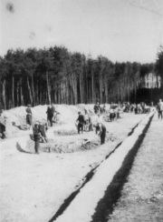 Otto Line, Jewish forced labourers during
                          earthwork for ramparts