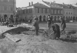 Zamosc, Jews forced for forced labour,
                          roadworks