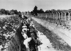 Neuengamme, forced labourers trenching a
                          trench