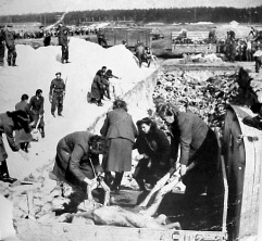 CC Bergen-Belsen: German Nazi woman
                          guards are forced to bury dead bodies of
                          detainees by British occupation forces 1945