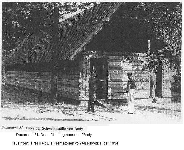 KZ
                Auschwitz: Schweinestall in Budy / cc Auschwitz: hog
                house in Budy