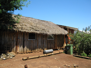 Temuco Cholchol, Wohnhaus mit Strohdach