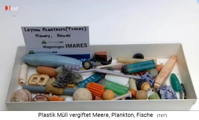 Plastik im Meer
                tötet die Vögel: Das ist der Plastikmüll von zwei
                Albatrossen