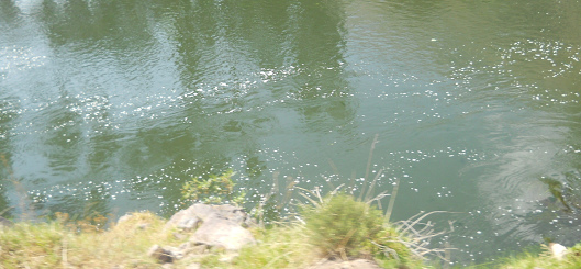 Der mit den
                  Abwässern von Cusco verseuchte Urubambafluss 01,
                  Nahaufnahme des Schaums auf der Wasserfläche, die
                  Kloake von Cusco