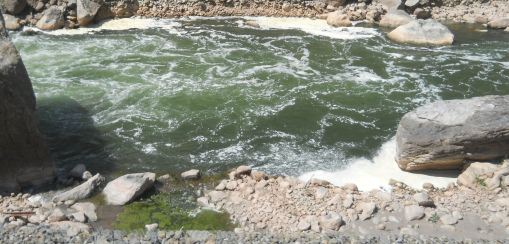 Der mit den Abwässern von Cusco
                  verseuchte Urubambafluss 03, Nahaufnahme des Schaums,
                  die Kloake von Cusco
