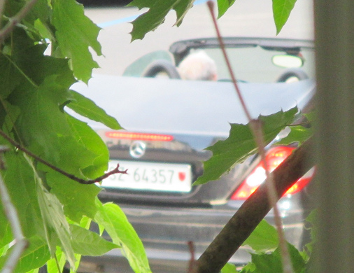 Mercedes Coupé aus
                      dem Kanton Schwyz mit der Autonummer SZ 64357