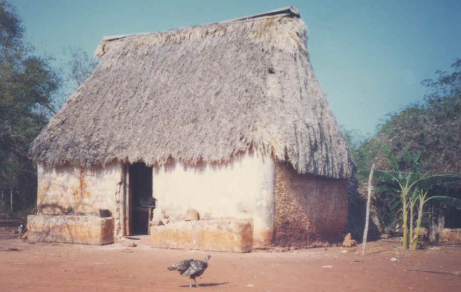 Maya house with a thatch roof