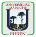 Chile: Mapuche-Universitt, Wappen, Emblem