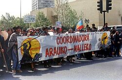 Chile: Mapuche-Demonstration
                        2001