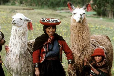 Peruvian natives
                          (indgenas) with lamas