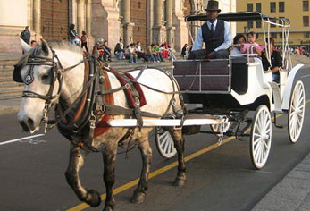 Lima with white horse car