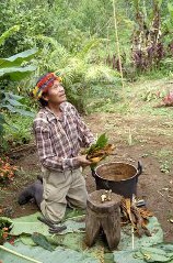 native
                            healer (curandero) in Peru with fire, pot
                            and herbs