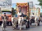 Bombay / Mumbai Kuh -
                            Velo - Fahrrad - Auto / cow - bicycle - car
                            / vache - bicyclette - auto / vacca -
                            bicicletta - carro