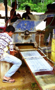 Goldgewinnung an einer Aluminiumplatte
                            in Venezuelas Urwald, wo sich die
                            Quecksilber-Gold-Verbindung absetzt, und der
                            Goldsand und das Quecksilberwasser fliessen
                            weiter...